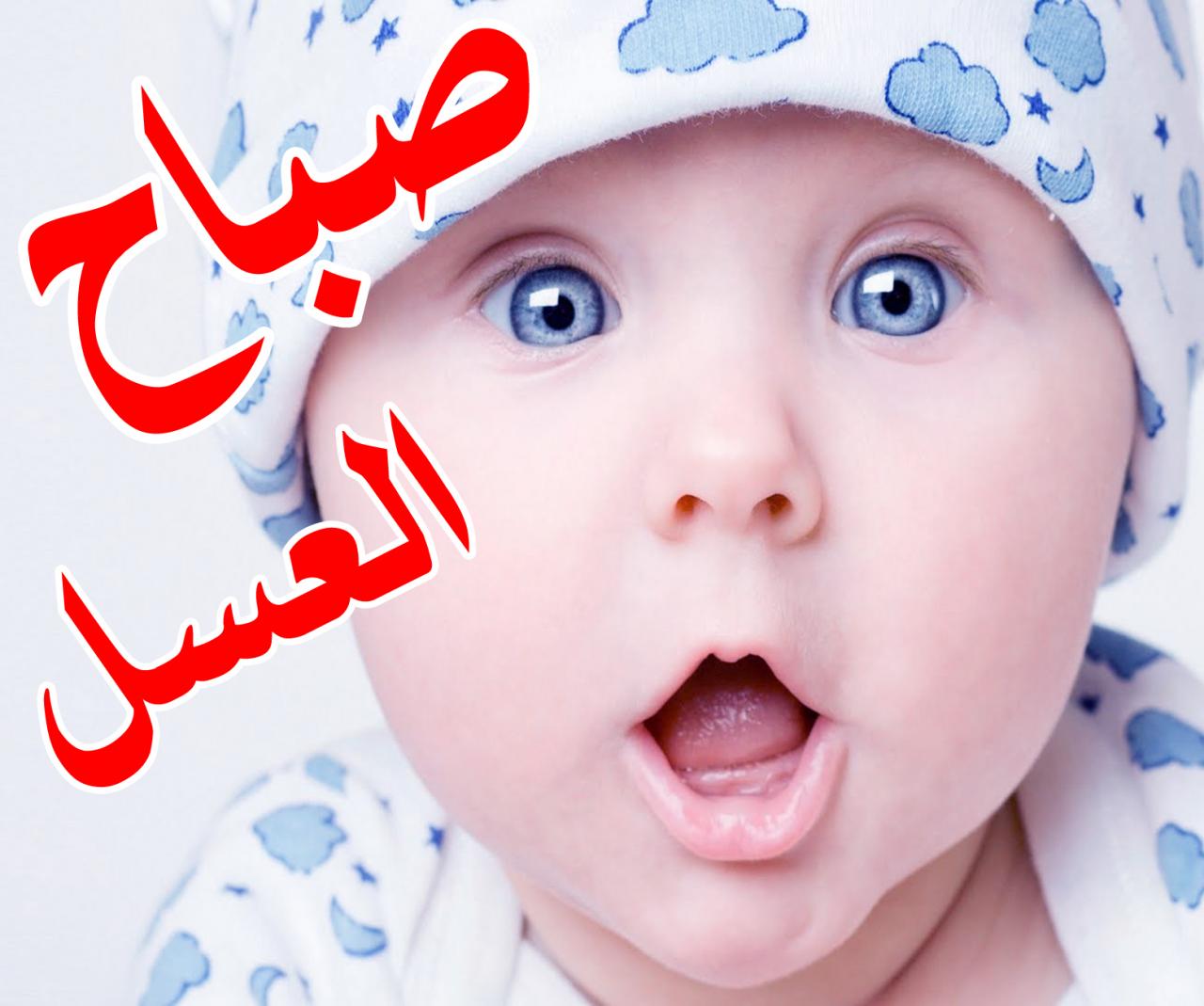 صور كومنتات فيس بوك - ضحك و جد و هزار فى كومنت للفيس 2088 10