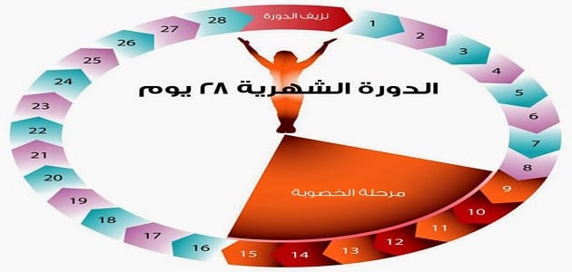 متى يحدث التبويض - عايزة اعرف ايام التبويض اعرف ازاي 625 1