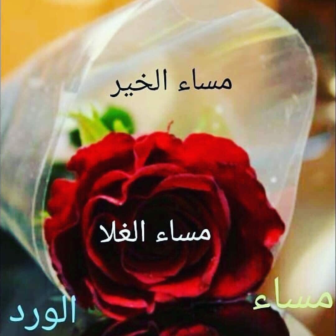 شعر غزل مساء الخير - اجمل ابيات شعريه عن المساء 5279 4