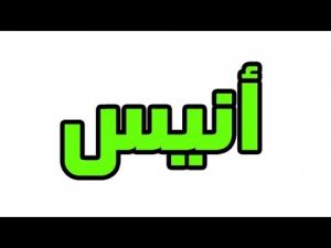 معنى اسم اناييس في الاسلام - ولماذا هو من الاسماء النادرة Unnamed File 1280