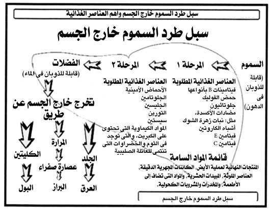 طرق اخراج السموم من الجسم - اليك حل رائع لتنظيف الجسم من السموم 2292 1