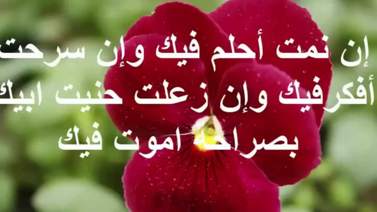 كلمات رسالة حب - اذا اردت اجمل الكلمات في الحب اضغط هنا 2622 1