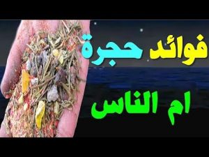 فوائد ام الناس - هل تعرف ما هي وما فوائدها Unnamed File 1294