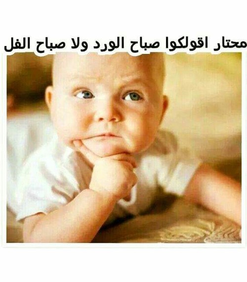 صور كومنتات فيس بوك - ضحك و جد و هزار فى كومنت للفيس 2088 1