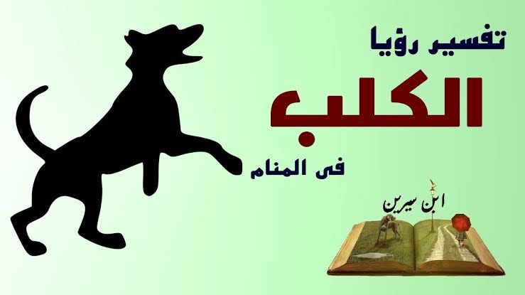 ما تفسير حلم الكلاب - رؤية الكلب في الحلم وغموض تفسيره 421