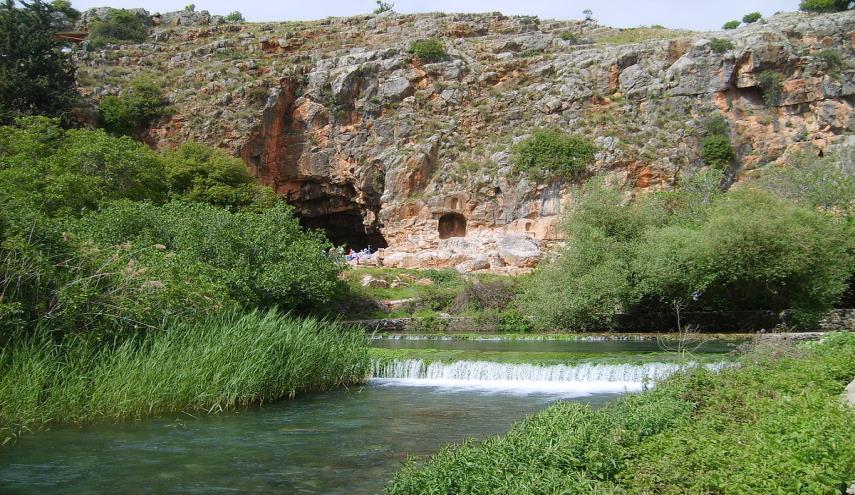 جولة من داخل فلسطين الحبيبة - الطبيعة في فلسطين 5147 6