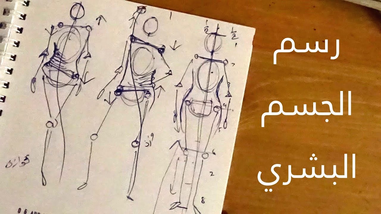 رسم جسم انسان - عايزة اعلم ابني كيفية رسم جسم الانسان ساعدوني 763