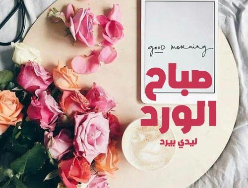 بحث عن صور صباح الخير - عن اشراقة يوم جديد هذه الكلمات 2382 10