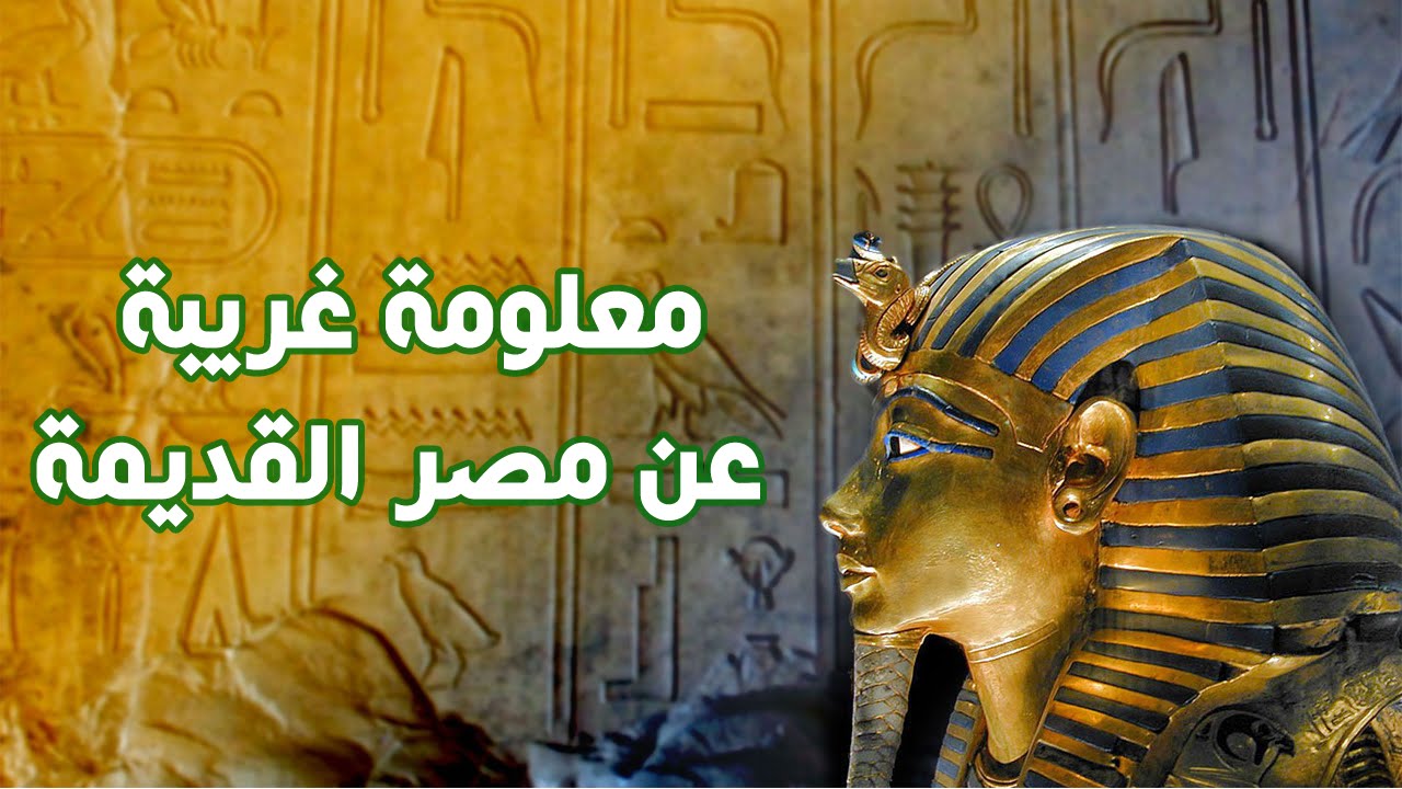 معلومات عن مصر - تاريخ جمهورية مصر العربية ام الدنيا 1596 2