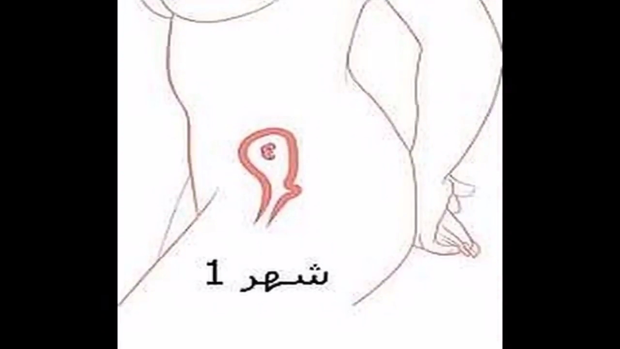 ما هي اعراض الحمل في الشهر الاول - اسهل الطرق لمعرفة الحمل من الشهر الاول 138 2