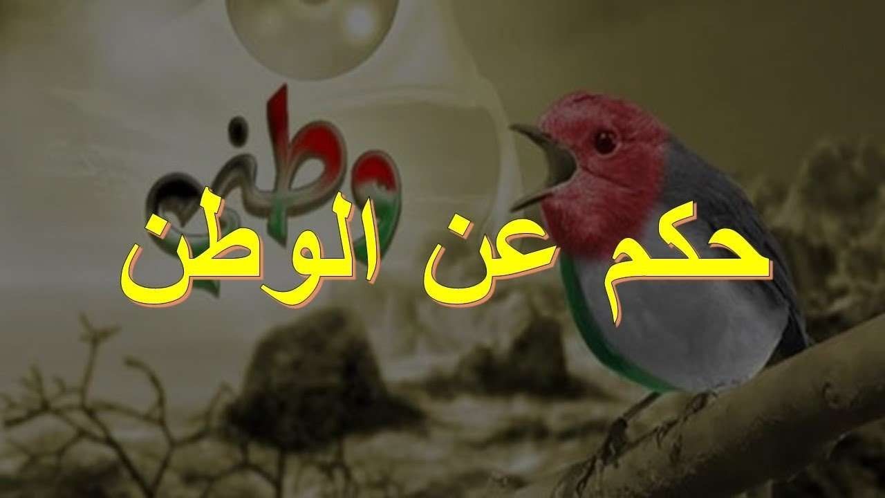 عبارة عن حب الوطن , كلمات معبرة عن عشق الوطن