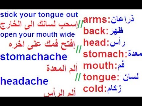 تعلم اللغة الانجليزية بالصوت والصورة - خطوات سهلة لتعلم اسهل لغة 3734 8