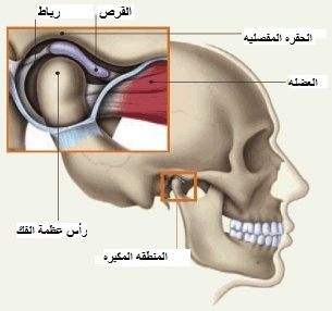 اسباب الام الفك - مشاكل الفك والاسنان لابد ان تستدعي الطبيب 5550 1