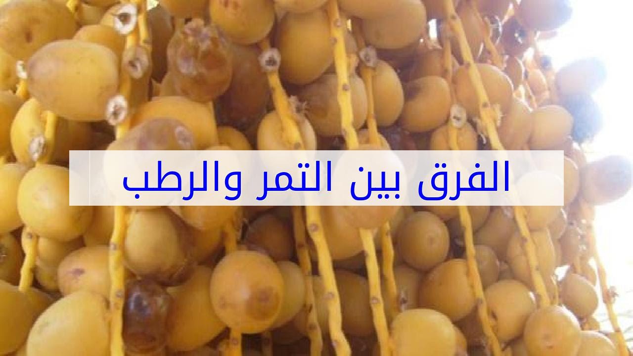 الفرق بين التمر والرطب - اهم الفروق الصحية بين الرطب والتمر 2467 2