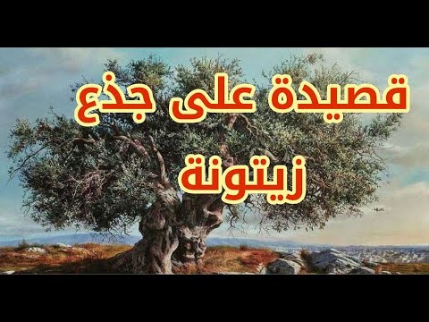 توفيق زياد قصائد - الكاتب والشاعر الفلسطيني 2118 6