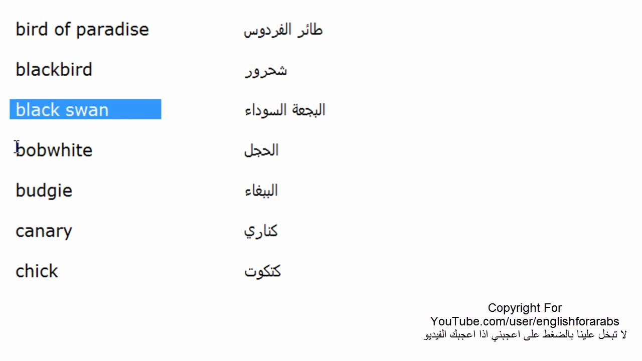 اسماء عربية بالانجليزي - فكرة رائعة عشان تحول اسمك الى الانجلزية 2281 7