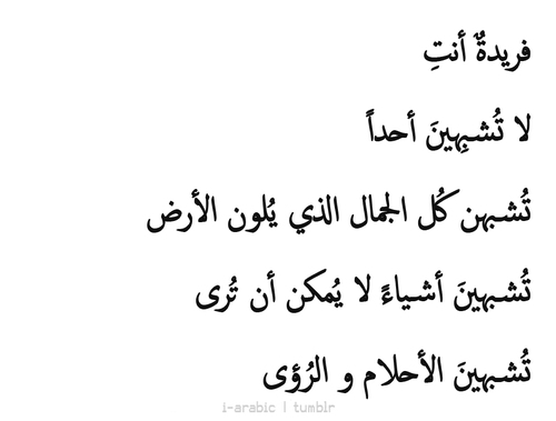 الشعر العربي الفصيح في الحب - قصائد للعاشقين 1756 8