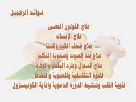 فوائد الزنجبيل واضراره - القيمة الغذائية لنبات سحري 4065 3