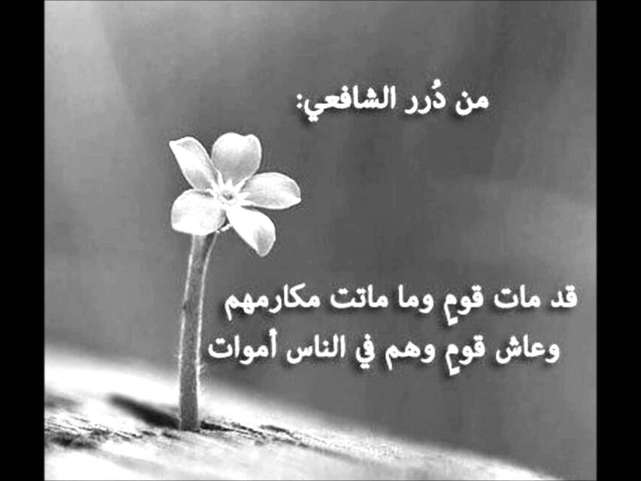 ابيات شعر عن تغير الناس - لا احد يثبت علي حال 4071 8