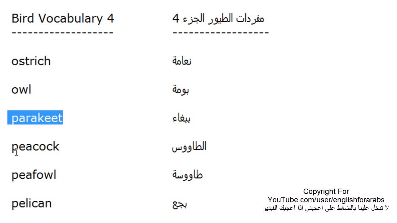 اسماء عربية بالانجليزي - فكرة رائعة عشان تحول اسمك الى الانجلزية 2281 6