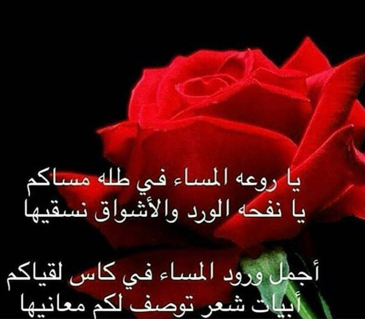 شعر غزل مساء الخير - اجمل ابيات شعريه عن المساء 5279 8