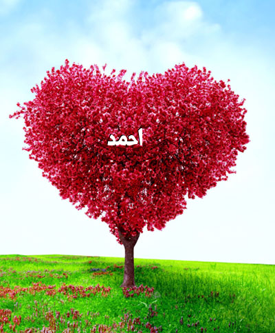 صور على اسم احمد - خلفيات روعه لاسم احمد 2052 4