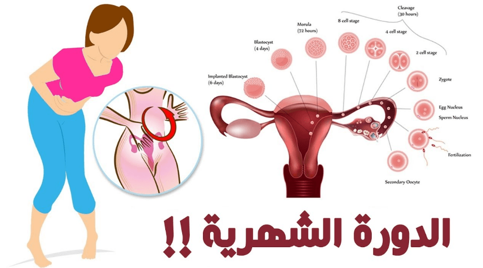 ما هي مدة الدورة الشهرية , كم يوم من الممكن ان تقضيها المراة وهي حائض