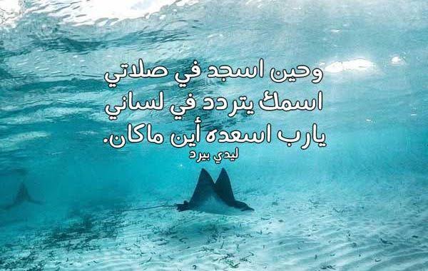 دعاء لمن تحب بالتوفيق - لعل دعائي يكون سبب في تفوقك باذن الله 3916 10