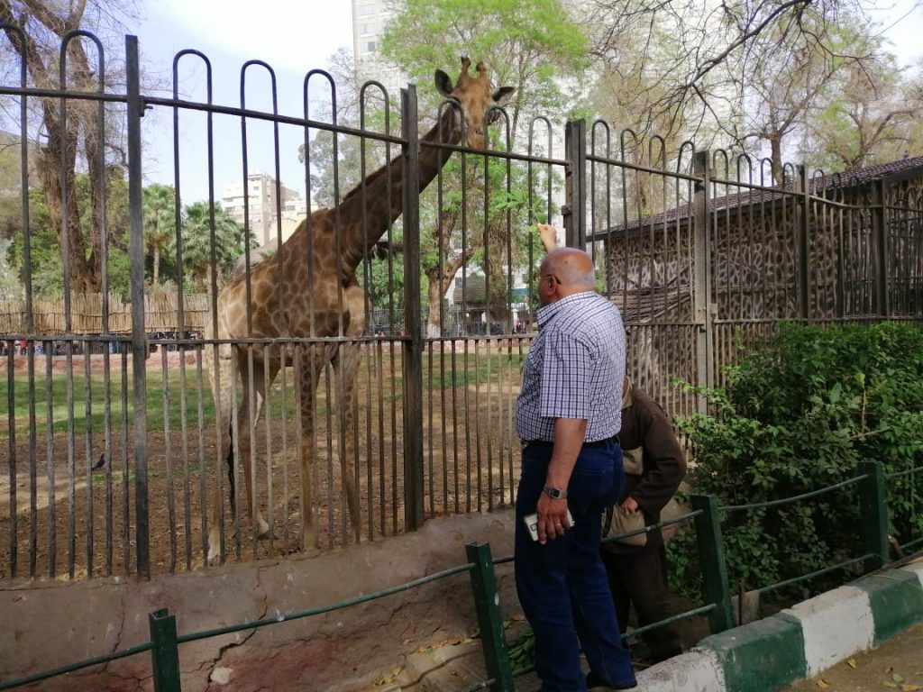 صور حديقة الحيوان - اجمل صور الحيوانات 1523 9