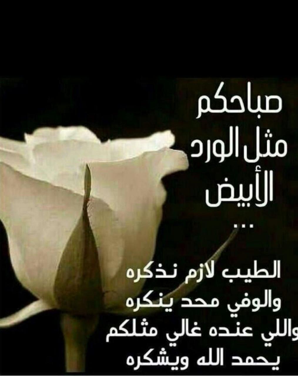 شعر غزل مساء الخير - اجمل ابيات شعريه عن المساء 5279 2