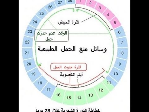 كيف اعرف ايام الاباضة - افضل ايام لتتم عملية الحمل 3279