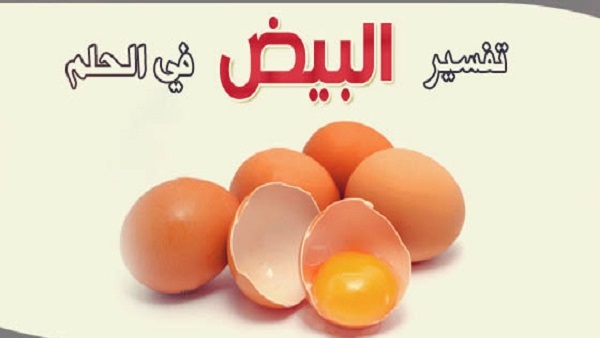 البيض في الحلم - تفسير رؤية البيض بكل انواعه في المنام 2295 3