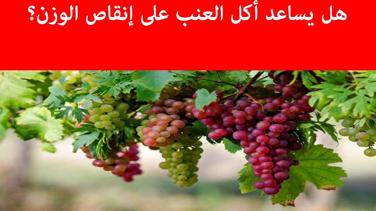 هل العنب يسمن - معلومات عن السعرات الحرارية في العنب 5070 2