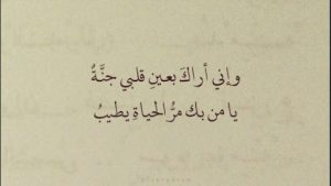 العشق الممنوع كلمات- هكذا يكون الحب 3511 10