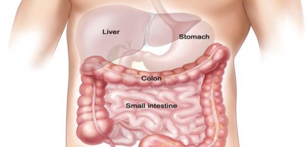 اسباب القولون الهضمي - هل انت من بين من مرضي القولون الهضمي 3955