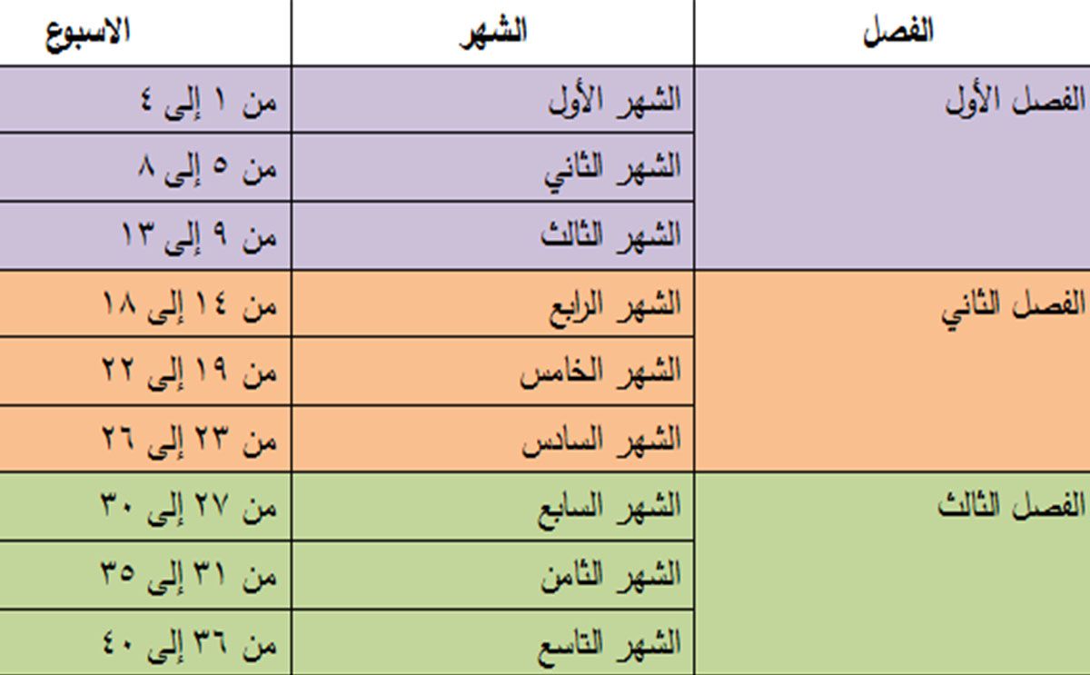 كيف احسب الحمل بالاسابيع - ازاي احسب عمر الجنين 505 3