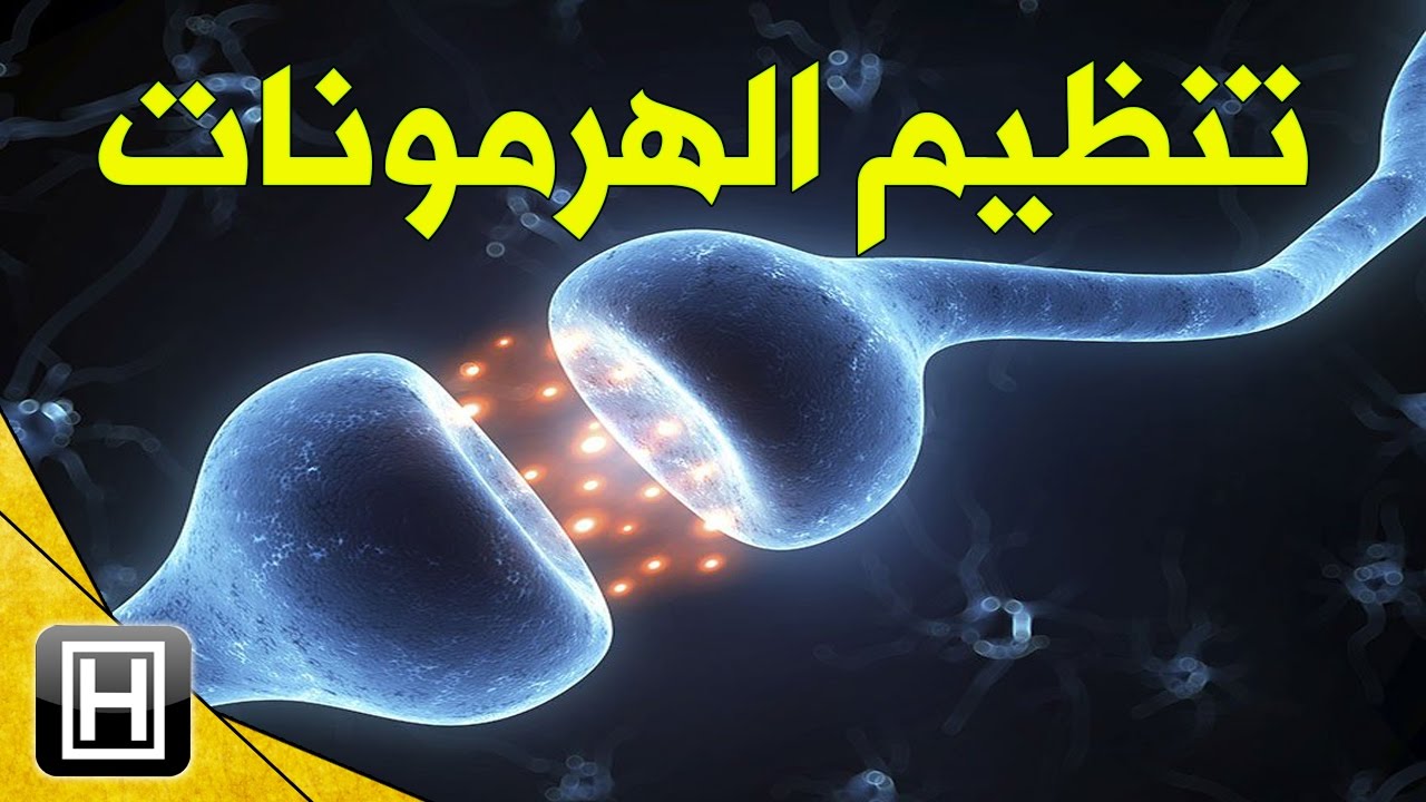 افضل علاج للهرمونات - سؤال وجواب عن خلل في الهرمون 3318 3