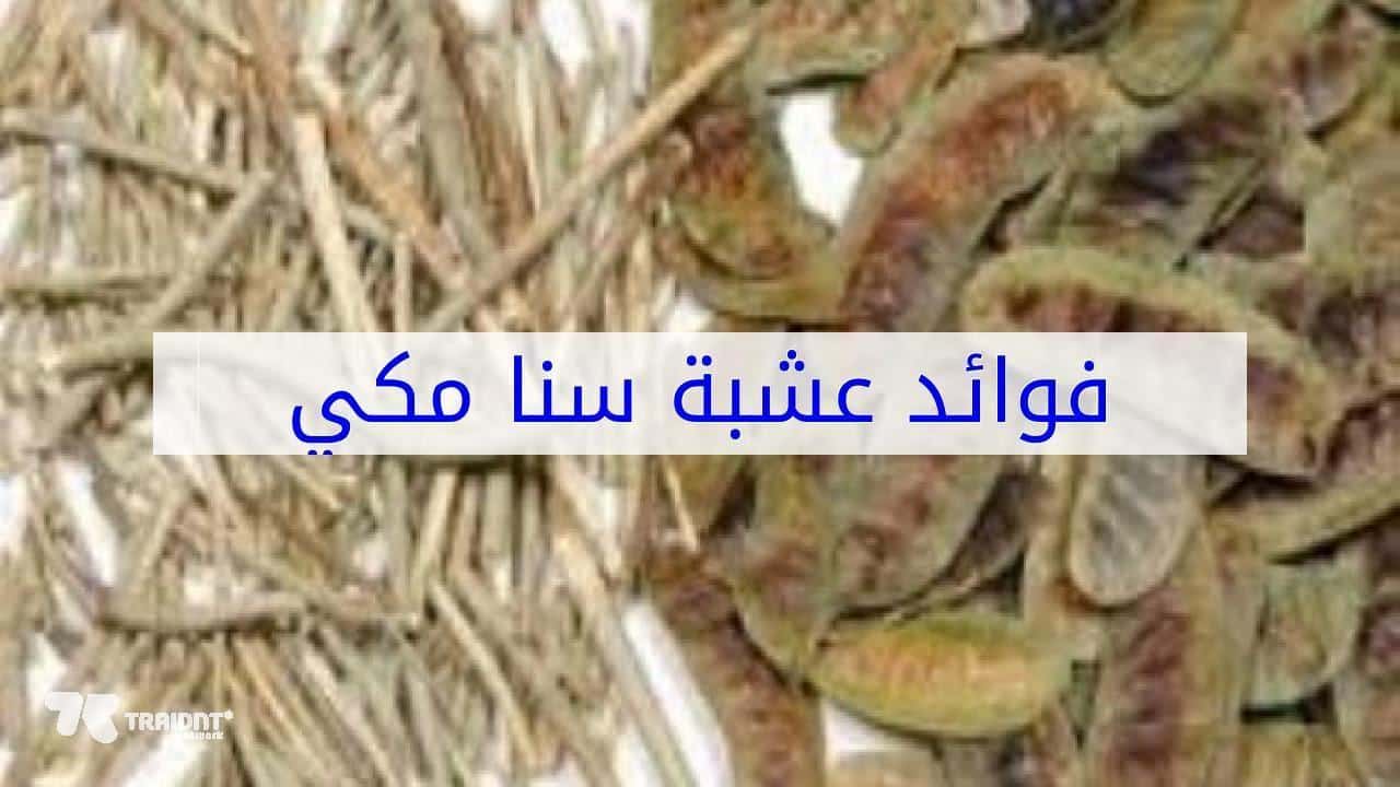 فوائد سنا مكي - ماهى فوائد السنامكي لجسم الانسان