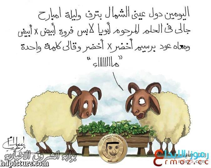 اضحك وفرفش مع النكت دي - نكت اخر حاجة 2782 7