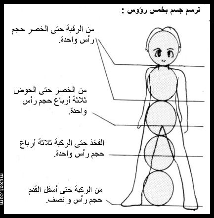 رسم جسم انسان - عايزة اعلم ابني كيفية رسم جسم الانسان ساعدوني 763 8