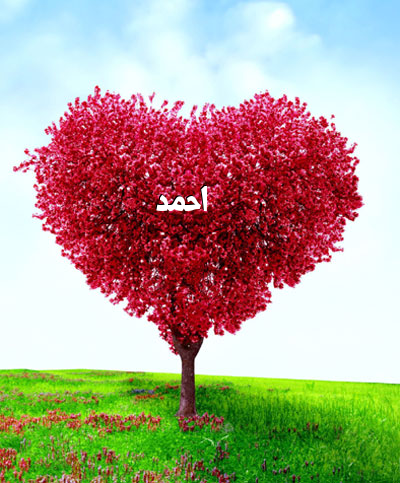 برنامج تعديل الصور والكتابة عليها بالعربي للكمبيوتر