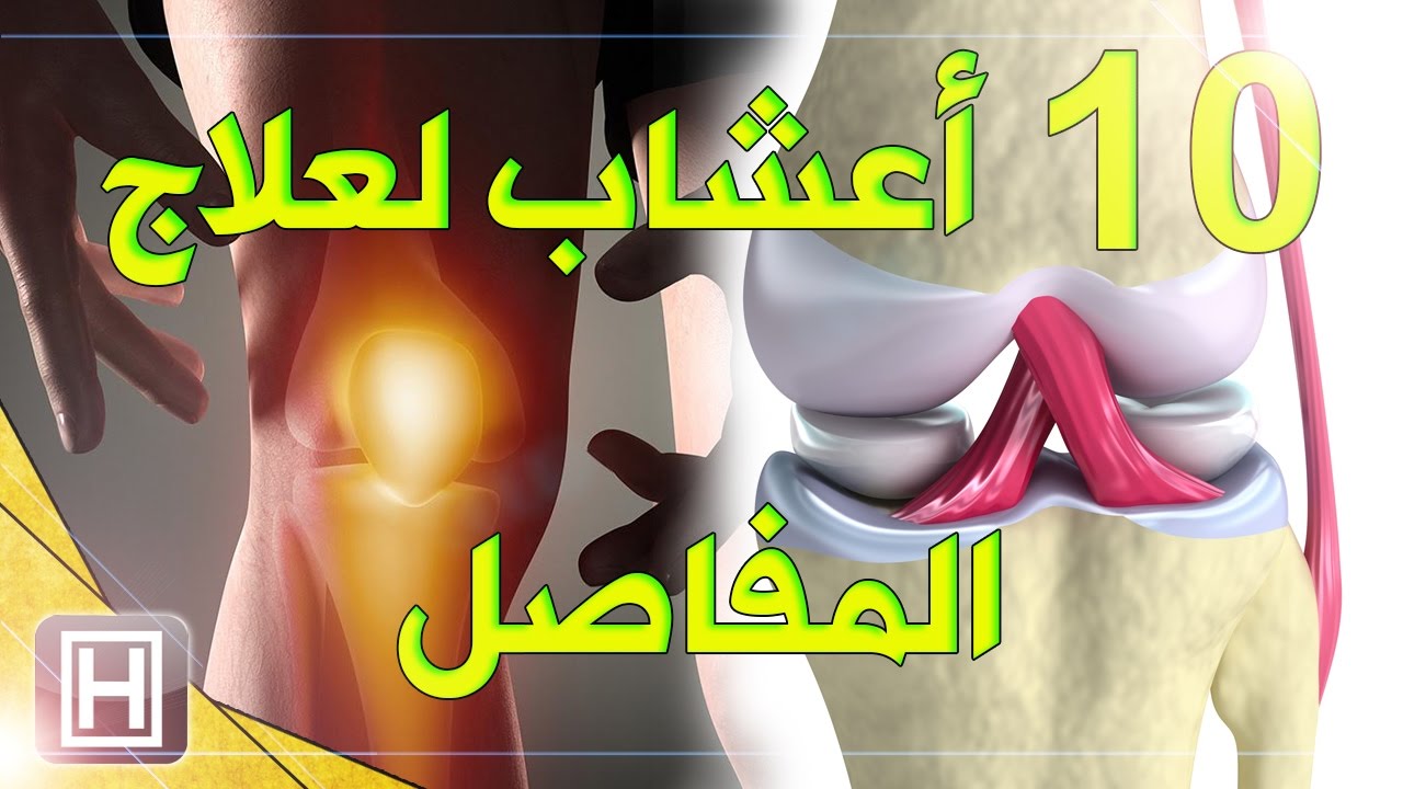 علاج المفاصل بالاعشاب , شاهد طب الاعشاب