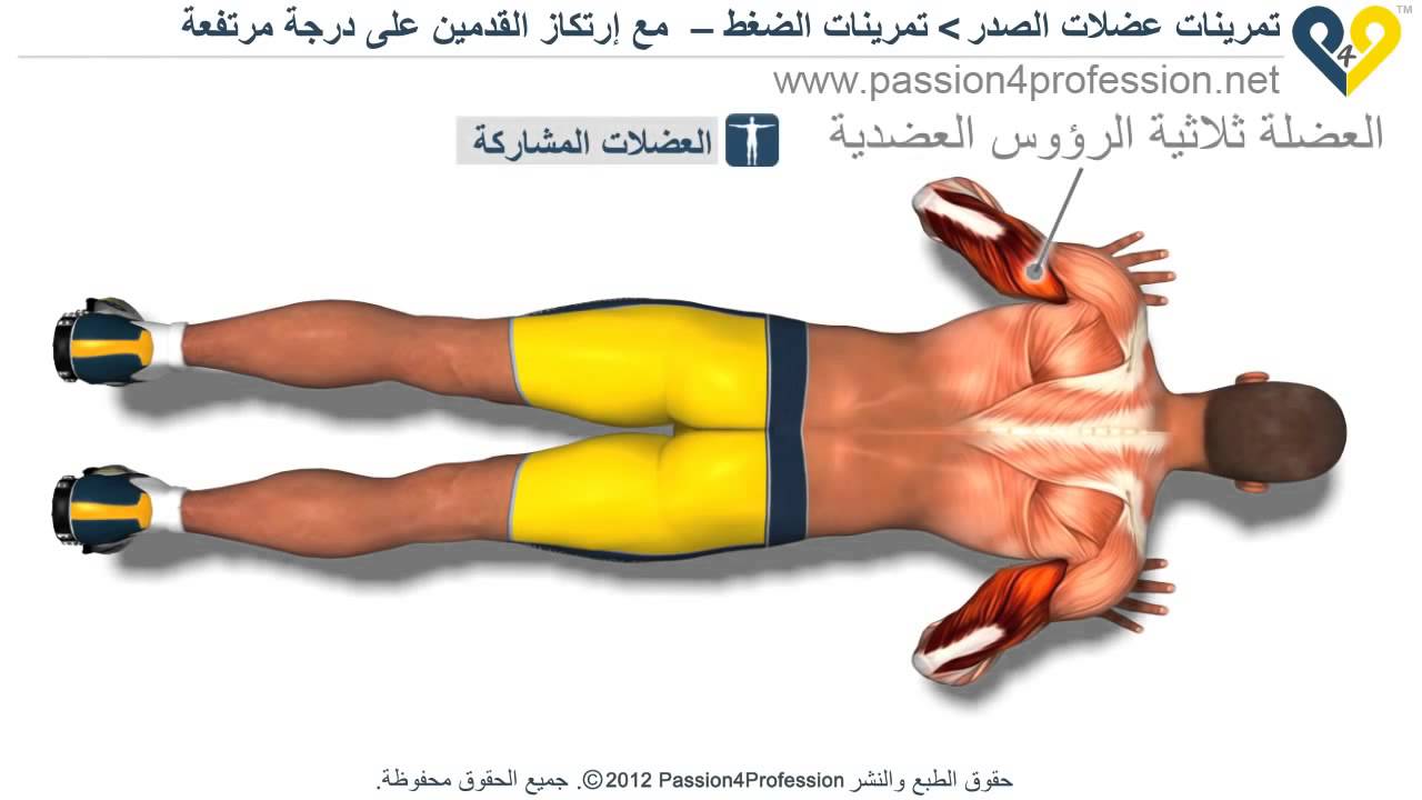 تمرين الضغط الصحيح , مثل المحترفين تمرين الضغط بسهولة