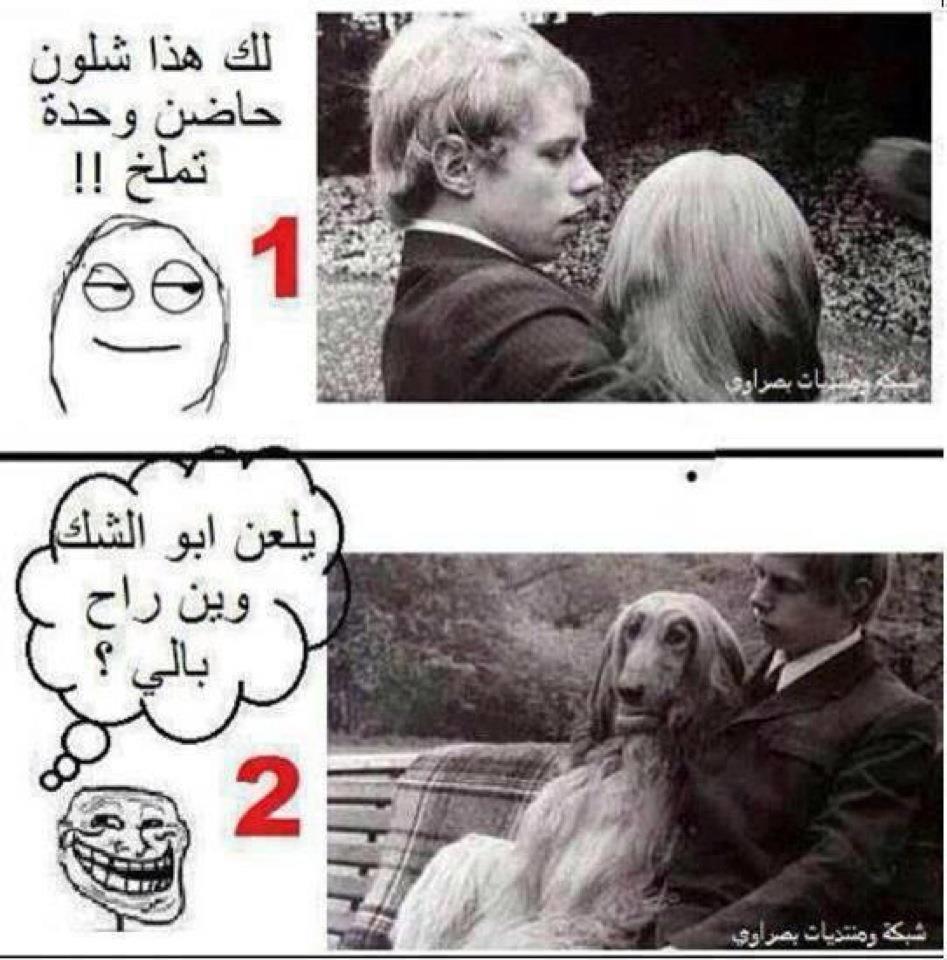 مقاطع مضحكة كردية , نكت كردية تهلك من الضحك