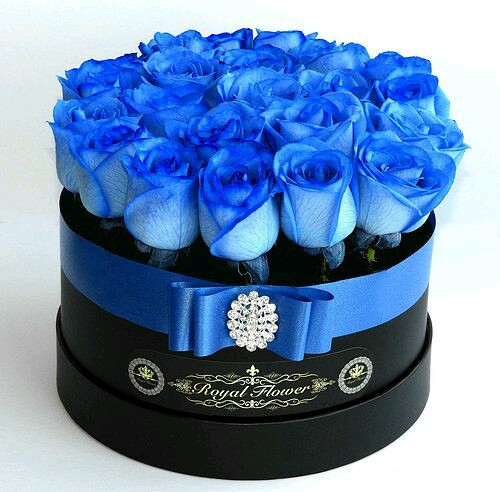 ورد ازرق غامق , اجمل الزهور الزرقاء حنان خجولة