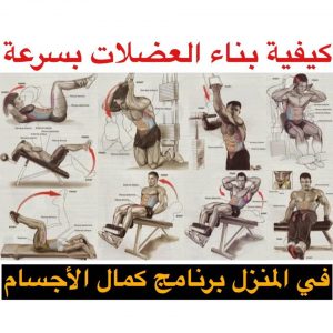 كمال الاجسام وبناء العضلات , تمارين مهمة لبناء قوة الجسم